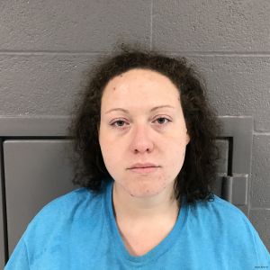 Melanie Williams Arrest Mugshot