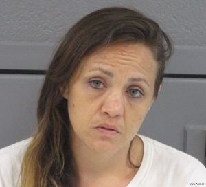 Melinda Mayle Arrest