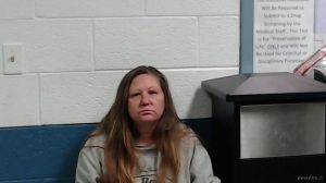 Melissa Johnson Arrest