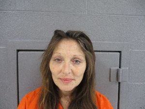 Melissa Shinaberry Arrest Mugshot