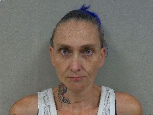 Michelle Quinn Arrest Mugshot