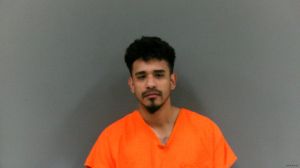 Miguel Martinez Arrest Mugshot