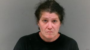 Miranda Cline Arrest Mugshot