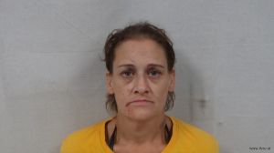 Misty Bryan Arrest Mugshot