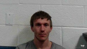 Mitchell Holstein Arrest