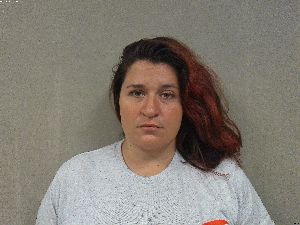 Nicole Erwin Arrest Mugshot