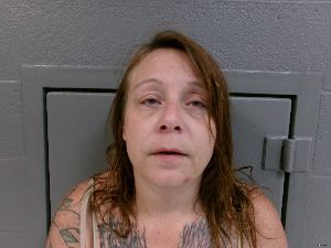 Niki Wilson Arrest Mugshot