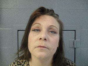 Niki Wilson Arrest Mugshot