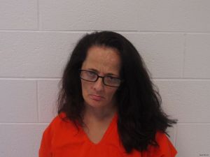 Pamela Perrine Arrest