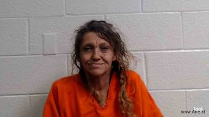 Pamela Seidel Arrest
