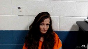 Patti Dixon Arrest Mugshot