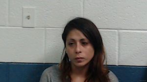 Priscilla Nunez Arrest Mugshot