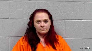 Rachel Bailey Arrest