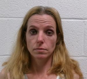 Rachel Welch Arrest Mugshot