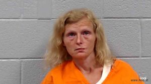 Rebecca Bailey Arrest