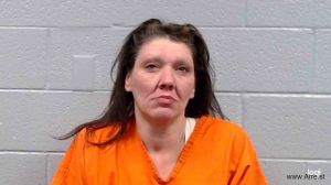 Rebecca Johnson Arrest Mugshot