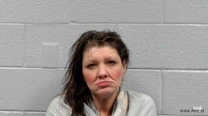 Rebecca Johnson Arrest Mugshot