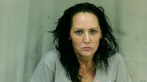 Regina Dolin Arrest