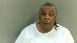 Renee Wilkins Arrest Mugshot