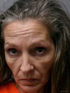 Robin Linaberg Arrest Mugshot