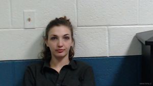 Robyn Defiabaugh Arrest