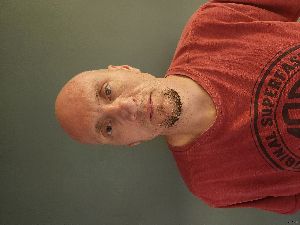 Roger Webb Arrest Mugshot