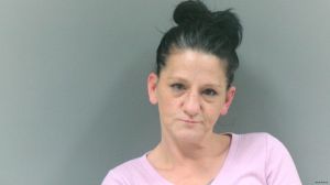 Sabrina Fulknier Arrest Mugshot