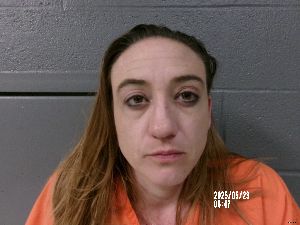 Sara Davis Arrest Mugshot