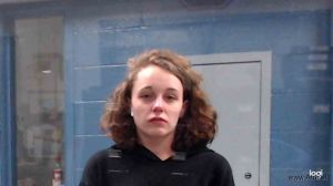 Sarah Demarco Arrest