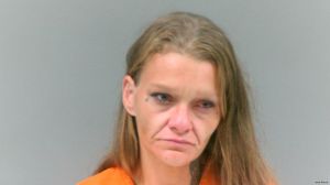 Sarah Halstead Arrest Mugshot