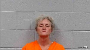 Sarah Lane Arrest