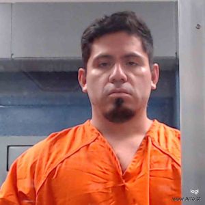 Sergio Estrada-pedroza Arrest