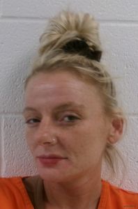 Shannon Shifflett Arrest Mugshot