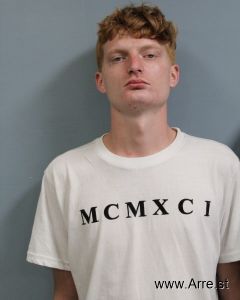 Shawn Spencer Arrest