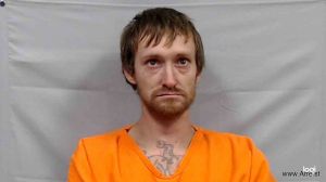 Shawna Hanshew Arrest Mugshot