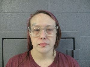 Shelby Bowman Arrest Mugshot