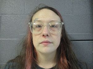 Shelby Bowman Arrest Mugshot