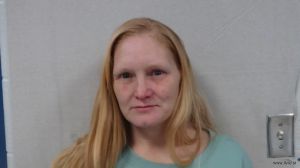 Sherry Mcglothlin Arrest Mugshot