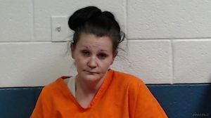 Stephanie Bailey Arrest Mugshot