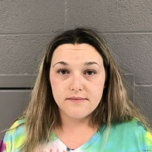 Stephanie Johnson Arrest Mugshot