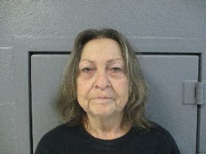 Susan Vandevender Arrest Mugshot