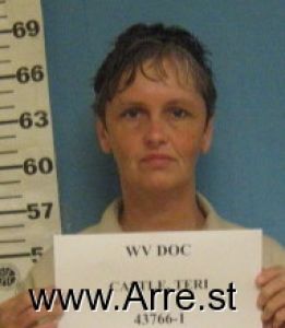 Terri Castle Arrest Mugshot