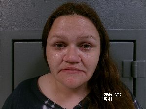 Tammy Hefner Arrest Mugshot