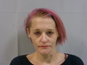 Tara Hise Arrest Mugshot