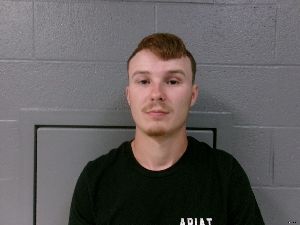Tavian Taylor Arrest Mugshot