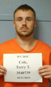 Terry Cole Arrest