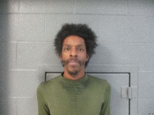 Timi Lewis Arrest Mugshot