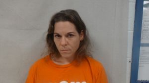 Tina King Arrest Mugshot