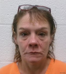 Tina Waldron Arrest Mugshot