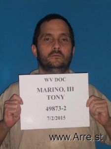 Tony, Marino Arrest Mugshot